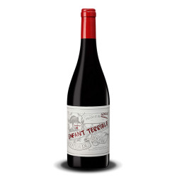 Domaine Sinnae Enfant Terrible Cote Du Rhone rouge