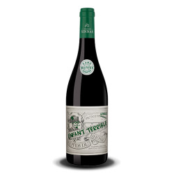 Domaine Sinnae Enfant Terrible Sans Sulfites Cote Du Rhone rouge