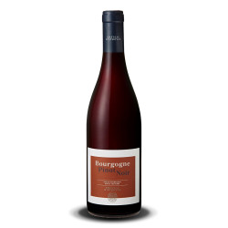 Château d'Etroyes Bourgogne Pinot noir rouge 2021