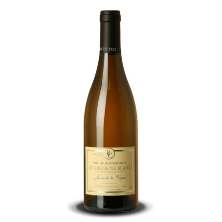 Domaine Christophe Cordier Jean de la Vigne Bourgogne Blanc 2021