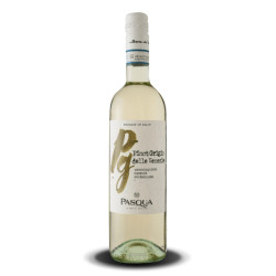 Villa Pasqua Pinot Grigio Delle Venezie DOC Blanc