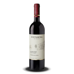 Binyamina Winery Moshava Shiraz Rouge Casher 2021