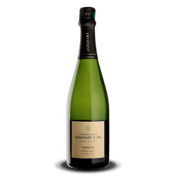 Pascal Agrapart Terroirs Extra Brut Blanc de Blanc Grand Cru Champagne