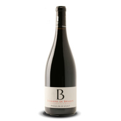 Domaine de Briante Tradition Moulin A Vent Rouge