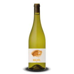 Domaine Capmartin Malhol blanc