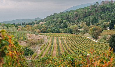 Les AOC de Languedoc-Roussillon et leurs vins, une sélection de la Route des Vins