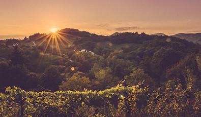 Les AOC du Beaujolais et leurs vins, une sélection de la Route des Vins