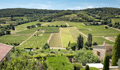 Les AOC de Provence et leurs vins, une sélection de la Route des Vins